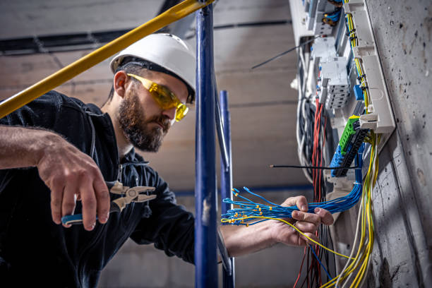 Best Electrical Repair Services  in Litchfield, MN