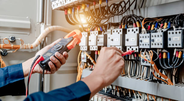 Best Electrician for Home Renovation  in Litchfield, MN