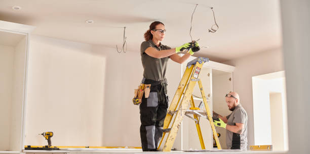 Best Local Electrician Companies  in Litchfield, MN