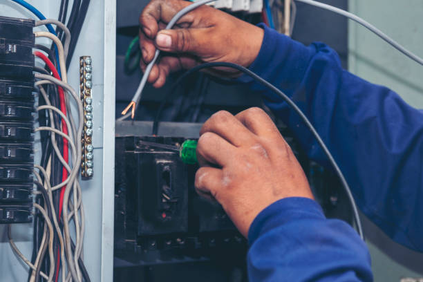 Best Electric Panel Repair  in Litchfield, MN