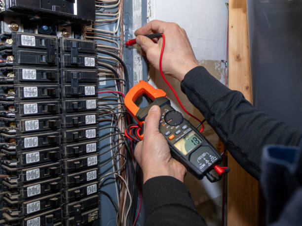 Best Affordable Electrician  in Litchfield, MN